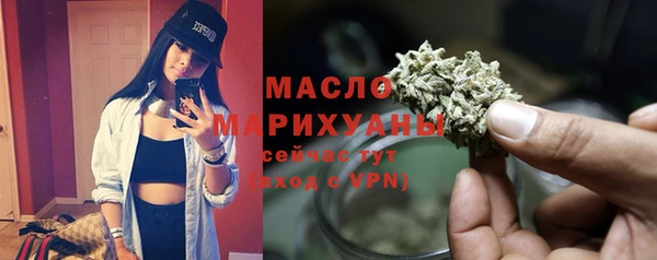 крисы Корсаков