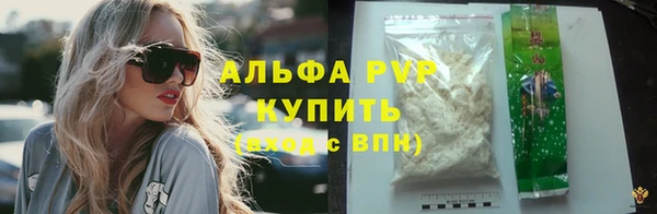 крисы Корсаков