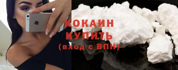крисы Корсаков