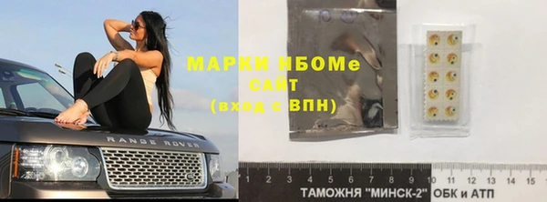 крисы Корсаков