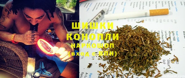 PSILOCYBIN Костерёво