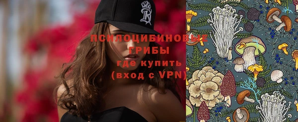 MESCALINE Коряжма