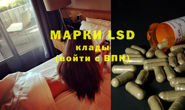 крисы Корсаков