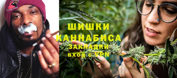 PSILOCYBIN Костерёво