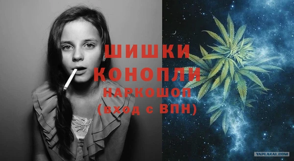 PSILOCYBIN Костерёво