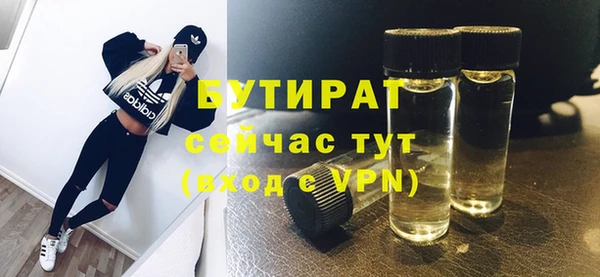 крисы Корсаков