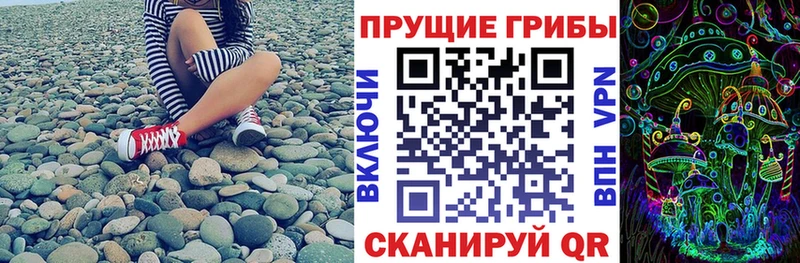Купить закладки Афипский Галлюциногенные грибы Psilocybine cubensis